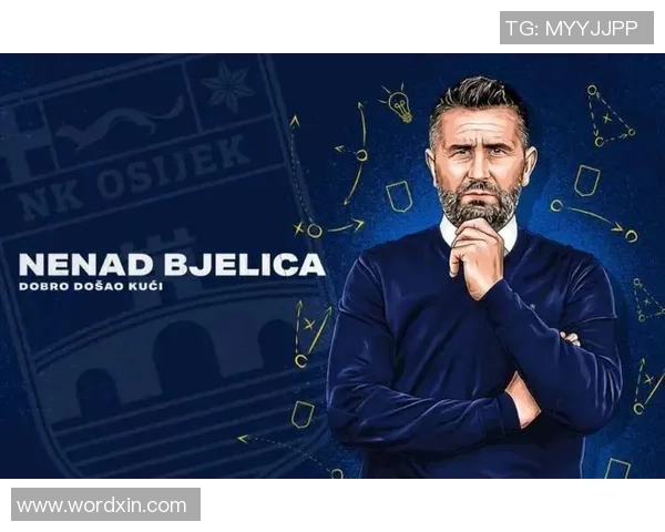 巴塞尔与纳沙泰尔的精彩对决分析与赛后总结