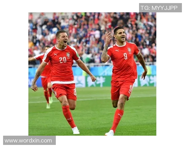 德国与塞尔维亚欧洲杯对决精彩回顾与分析