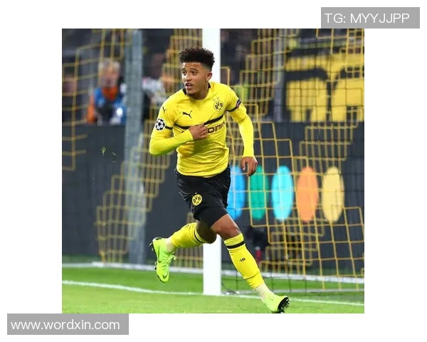 多特蒙德球迷暴力事件引发欧冠禁赛处罚及高额罚款