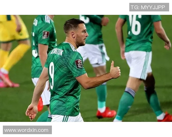 法国与爱尔兰足球历史交锋回顾与分析探讨