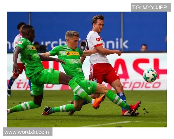 汉诺威96主场迎战弗赖堡期待精彩对决与球迷热情助威