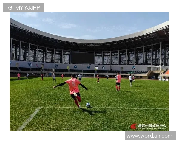 石榴杯足球比赛决赛精彩直播全程回顾与赛后分析