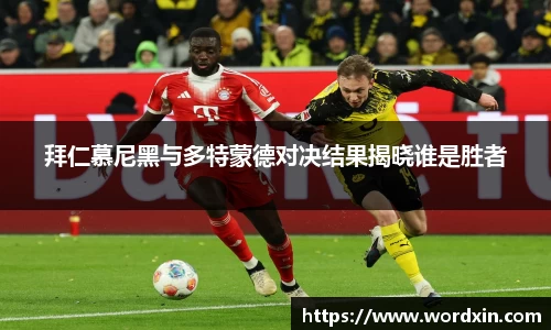 熊猫体育在线登录