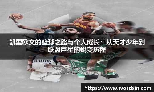 熊猫体育手机最新版本